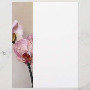 Prospectus 21,6 Cm X 24,94 Cm Orchidées Phalaenopsis rose délicat