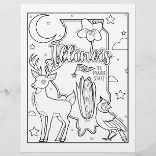 Prospectus 21,6 Cm X 24,94 Cm page de coloriage sur la forme et les faits de l'I
