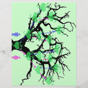 Prospectus 21,6 Cm X 24,94 Cm Pages de l'arborescence des familles