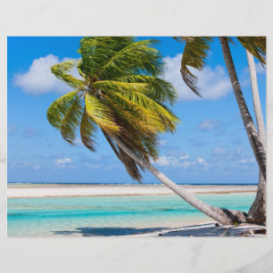 Prospectus 21,6 Cm X 24,94 Cm Palmier sur la plage de l'océan