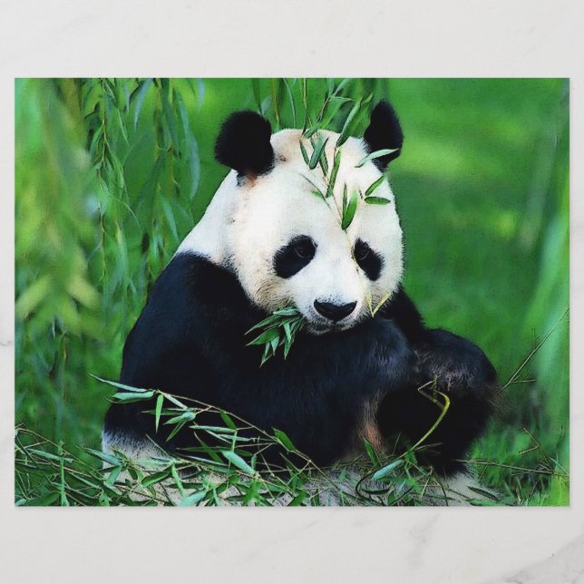 Prospectus 21,6 Cm X 24,94 Cm Panda Flyer (Devant)