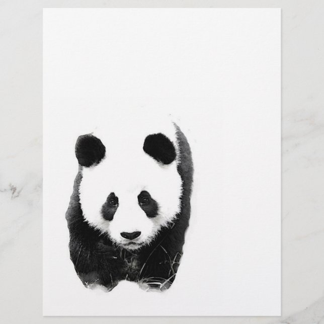 Prospectus 21,6 Cm X 24,94 Cm Panda Flyer (Devant)