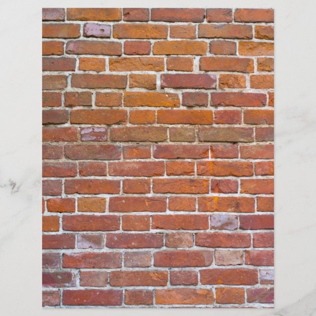 Prospectus 21,6 Cm X 24,94 Cm Panier (Devant)