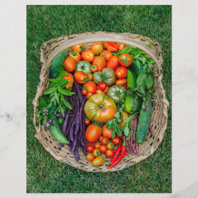 Prospectus 21,6 Cm X 24,94 Cm Panier de récolte de légumes (Devant)