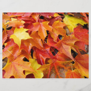 Prospectus 21,6 Cm X 24,94 Cm Papier Flyer Feuilles d'Automne Orange Jaune Rouge