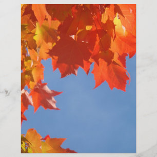 Prospectus 21,6 Cm X 24,94 Cm Papier pour prospectus Orange Feuilles d'automne C