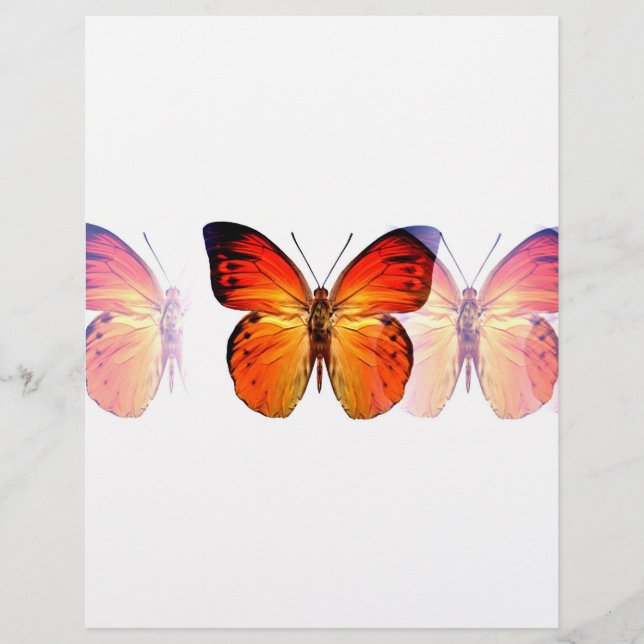 Prospectus 21,6 Cm X 24,94 Cm Papillon (Devant)