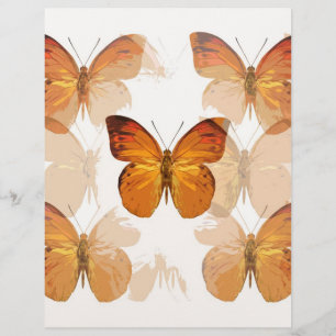 Prospectus 21,6 Cm X 24,94 Cm Papillon mouche Flyer