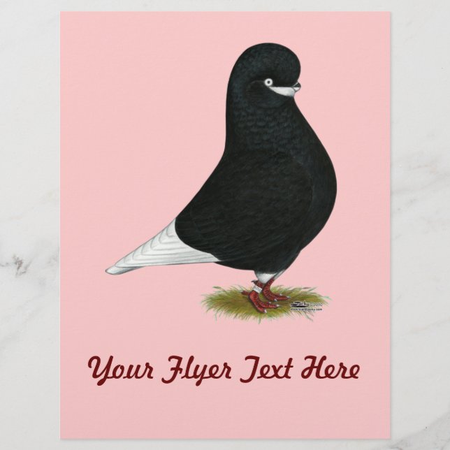 Prospectus 21,6 Cm X 24,94 Cm Paruline : Barbe LFCL (Devant)