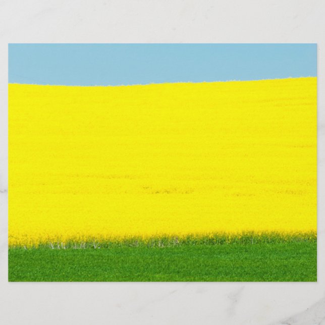 Prospectus 21,6 Cm X 24,94 Cm Paysage (Devant)