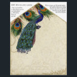 Prospectus 21,6 Cm X 24,94 Cm Peacock & Feathers Correspondant do-it-yourself En<br><div class="desc">do-it-yourself INSTRUCTIONS : N'UTILISEZ PAS LE CHOIX LOURD DE PAPIER CARDSTOCK ! Utilisez le papier standard uniquement. Les instructions sont imprimées sur chaque page. Il suffit de tailler, puis collez dans les enveloppes en utilisant une quantité généreuse de colle. TAILLE : Ce format correspond UNIQUEMENT à la taille d'invitation la...</div>