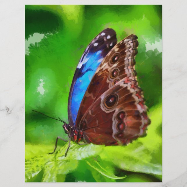 Prospectus 21,6 Cm X 24,94 Cm Peinture à papillon (Devant)