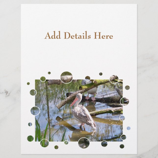 PROSPECTUS 21,6 CM X 24,94 CM PÉLICANS (Devant)