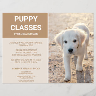 Prospectus 21,6 Cm X 24,94 Cm Photo de chiot Golden Retriever Cours de chiot per