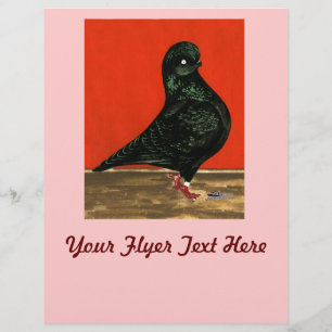 Prospectus 21,6 Cm X 24,94 Cm Pigeon Bouvier Noir Aquarelle