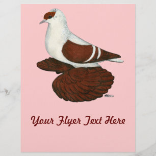 Prospectus 21,6 Cm X 24,94 Cm Pigeon Swallow : Rouge Tête Pleine