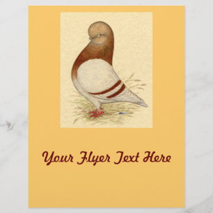 Prospectus 21,6 Cm X 24,94 Cm Pigeon Tumbler : LFCL Mealy
