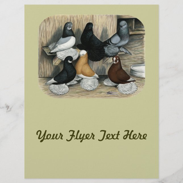 Prospectus 21,6 Cm X 24,94 Cm Pigeons Culbutants à Muffles (Devant)