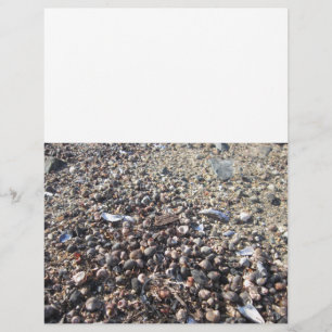 Prospectus 21,6 Cm X 24,94 Cm Plage de coquillages de l'océan Livre de pages d'o