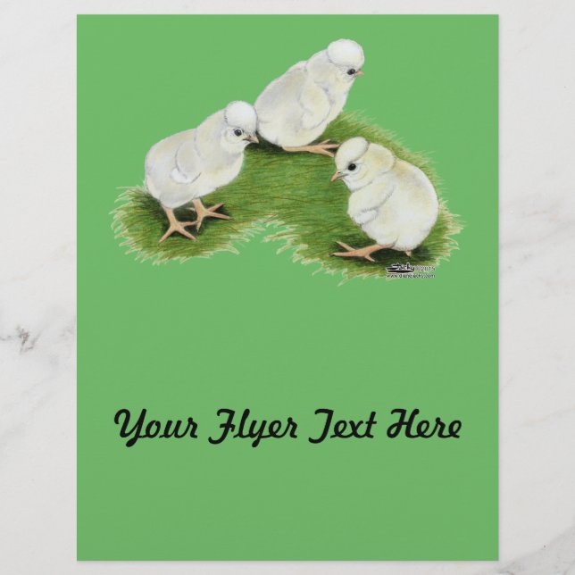 Prospectus 21,6 Cm X 24,94 Cm Polish Splash Chicks (Devant)