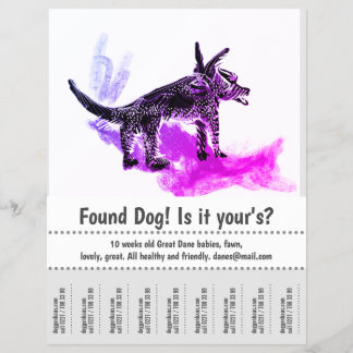 Prospectus 21,6 Cm X 24,94 Cm Poster de conception graphique de chien trouvé