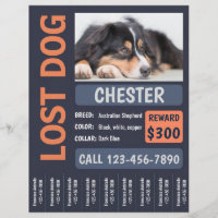 Poster de récompense perdu chien