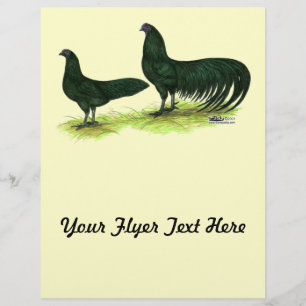 Prospectus 21,6 Cm X 24,94 Cm Poules Sumatra Black