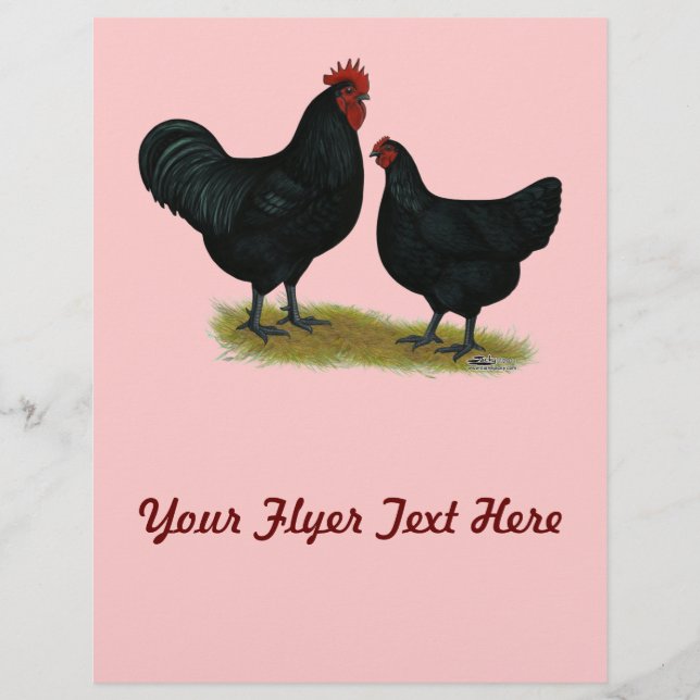 Prospectus 21,6 Cm X 24,94 Cm Poulets géants Jersey (Devant)