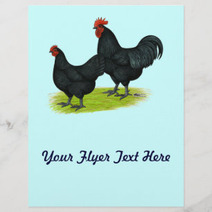Prospectus 21,6 Cm X 24,94 Cm Poulets noirs Australorp
