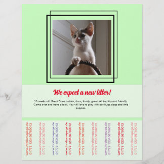 Prospectus 21,6 Cm X 24,94 Cm Pour vendre Puppies Flyer
