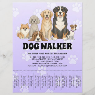 Prospectus 21,6 Cm X 24,94 Cm Promenadeur de chiens garde d'animaux publicitaire