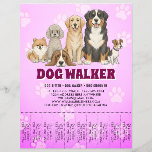 Prospectus 21,6 Cm X 24,94 Cm Promenadeur de chiens garde d'animaux Rose vibrant