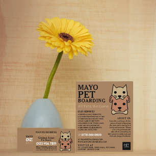 Prospectus 21,6 Cm X 24,94 Cm Publicité pour la pension pour chats et chiens