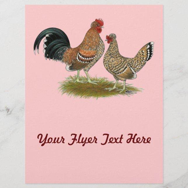 Prospectus 21,6 Cm X 24,94 Cm Pyncheon Bantams (Devant)