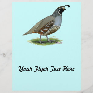 Prospectus 21,6 Cm X 24,94 Cm Quail de la Californie