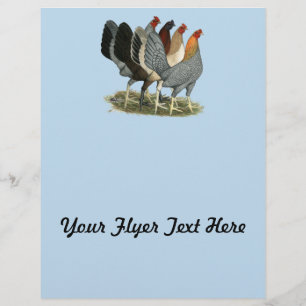 Prospectus 21,6 Cm X 24,94 Cm Quatre poules de combat