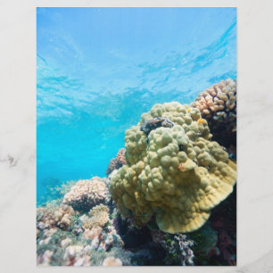 Prospectus 21,6 Cm X 24,94 Cm Récif de corail