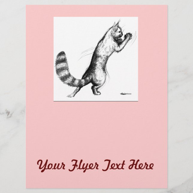 Prospectus 21,6 Cm X 24,94 Cm Ressort de chat2 (Devant)