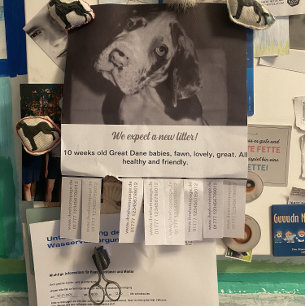 Prospectus 21,6 Cm X 24,94 Cm Ripp Off Flyer Chiot vendant rouge vert