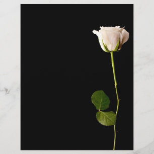 Prospectus 21,6 Cm X 24,94 Cm Rose blanche unique sur fond noir