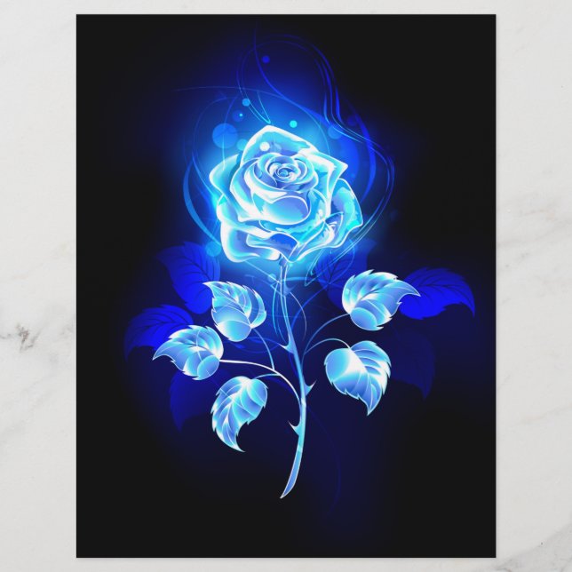 Prospectus 21,6 Cm X 24,94 Cm Rose bleu brûlant (Devant)