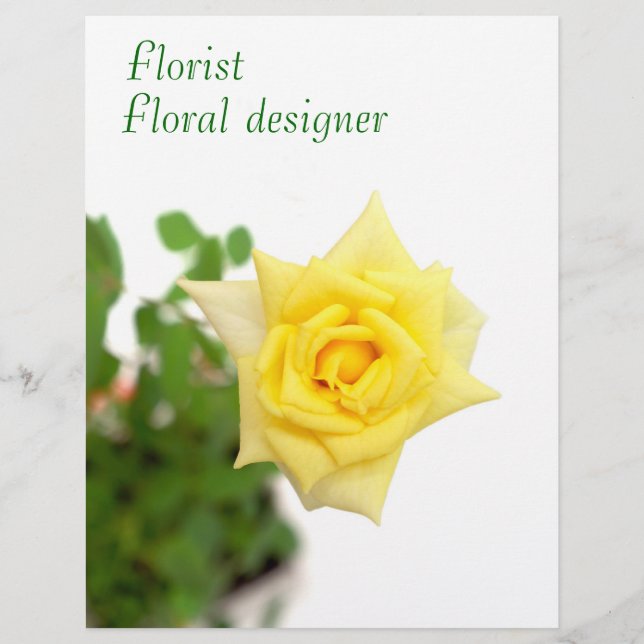 Prospectus 21,6 Cm X 24,94 Cm Rose jaune (Devant)