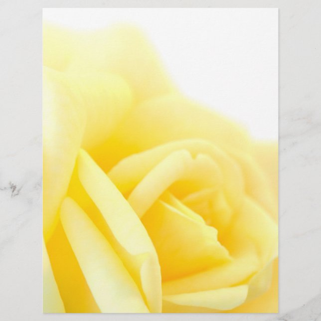 Prospectus 21,6 Cm X 24,94 Cm Rose jaune (Devant)