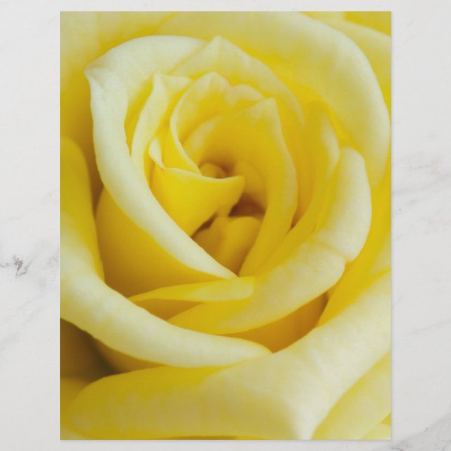 Prospectus 21,6 Cm X 24,94 Cm Rose jaune (Devant)