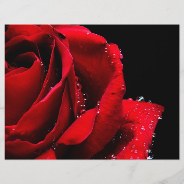 Prospectus 21,6 Cm X 24,94 Cm Rouge (Devant)