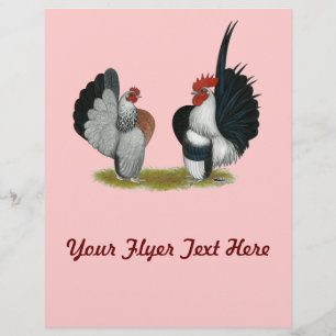 Prospectus 21,6 Cm X 24,94 Cm Serama Bantams