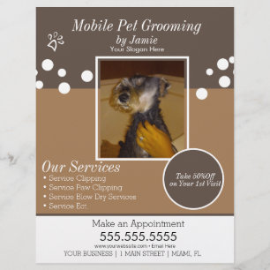 Prospectus 21,6 Cm X 24,94 Cm Services pour animaux Soins de chien Photo