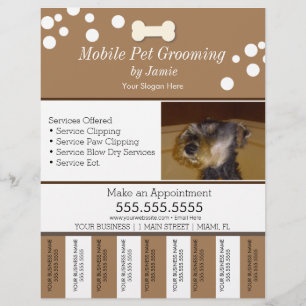 Prospectus 21,6 Cm X 24,94 Cm Services pour animaux Soins de toilettage Bandes d