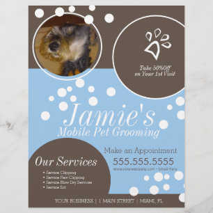 Prospectus 21,6 Cm X 24,94 Cm Services pour animaux Soins de toilettage pour chi