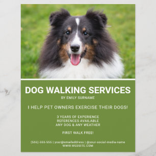 Prospectus 21,6 Cm X 24,94 Cm Shetland Sheepdog Photo Green Dog Walker Modèle